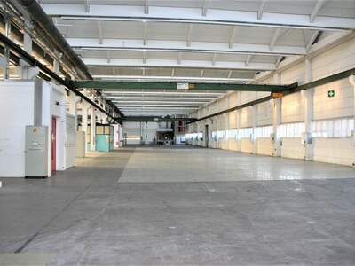 Gewerbeobjekt mieten in 4060 Leonding