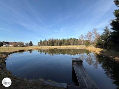 Haus kaufen in 3871 Alt