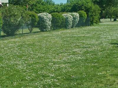 Grundstück kaufen in 3400 Kierling (Bild 2)