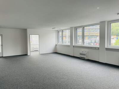 Gewerbeobjekt mieten in 5020 Salzburg (Bild 1)