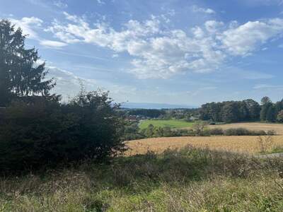 Grundstück kaufen in 8410 Allerheiligen (Bild 3)