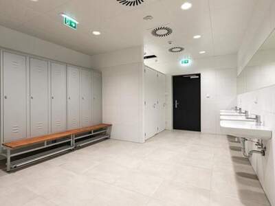 Gewerbeobjekt mieten in 4490 Sankt Florian (Bild 5)