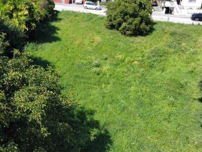 Grundstück kaufen in 7202 Bad Sauerbrunn (Bild 3)