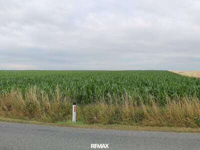 Gewerbeobjekt kaufen in 2011 Sierndorf