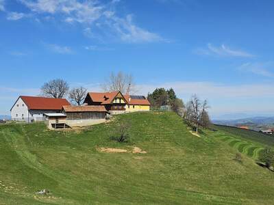 Haus kaufen in 8462 Gamlitz (Bild 4)