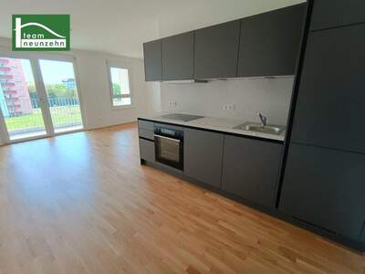 Terrassenwohnung mieten in 3100 St. Pölten (Bild 1)