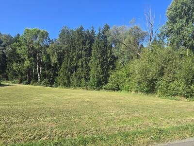 Grundstück kaufen in 8292 Neudau (Bild 1)