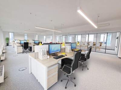 Gewerbeobjekt mieten in 1100 Wien (Bild 5)