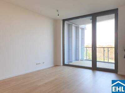 Terrassenwohnung mieten in 1100 Wien (Bild 3)