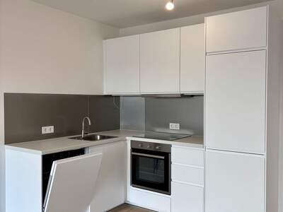Wohnung mieten in 1190 Wien (Bild 4)