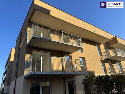 Terrassenwohnung mieten in 8401 Kalsdorf (Bild 5)