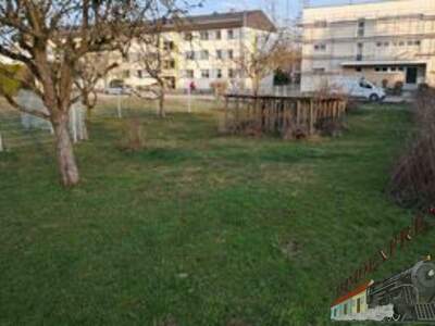 Grundstück kaufen in 4702 Wallern (Bild 1)