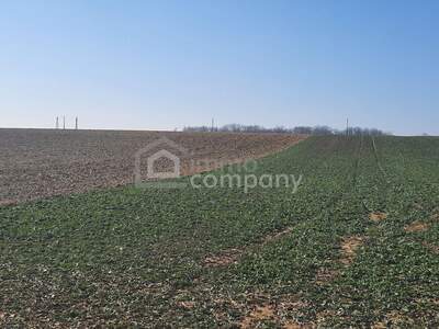 Grundstück kaufen in 8394 Nemesboldogasszonyfa (Bild 1)