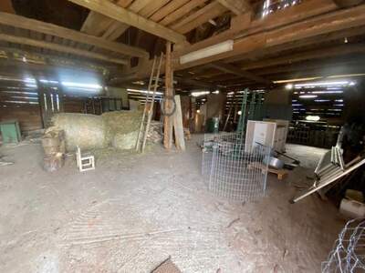 Gewerbeobjekt mieten in 8724 Spielberg (Bild 4)