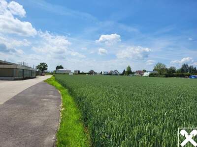 Gewerbeobjekt mieten in 4063 Hörsching (Bild 2)