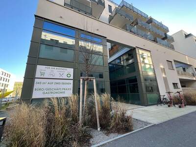 Gewerbeobjekt mieten in 1220 Wien (Bild 1)