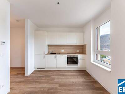 Terrassenwohnung mieten in 8020 Graz (Bild 1)