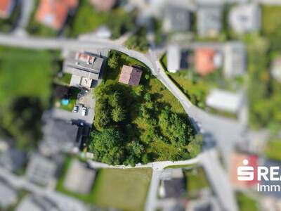 Grundstück kaufen in 6416 Obsteig (Bild 4)