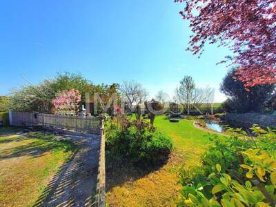 Einfamilienhaus kaufen in 4492 Hofkirchen (Bild 1)