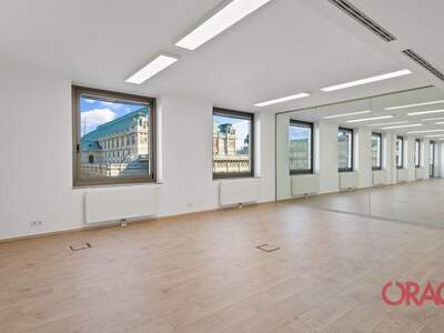 Gewerbeobjekt mieten in 1010 Wien (Bild 4)
