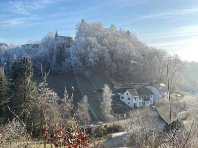 Haus kaufen in 4020 Linz