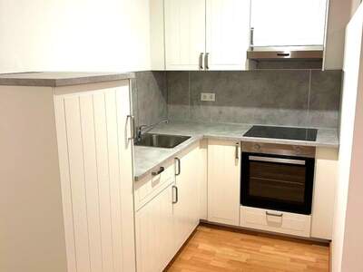 Mietwohnung in 1100 Wien (Bild 1)