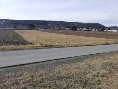 Grundstück kaufen in 7453 Steinberg