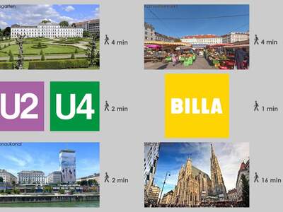 Terrassenwohnung kaufen in 1010 Wien (Bild 2)