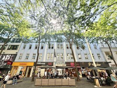 Gewerbeobjekt mieten in 1060 Wien (Bild 2)