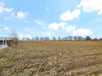 Grundstück mieten in 4975 Suben (Bild 2)