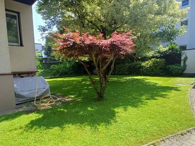 Haus kaufen in 5020 Salzburg