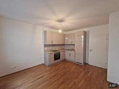 Wohnung mieten in 8010 Graz