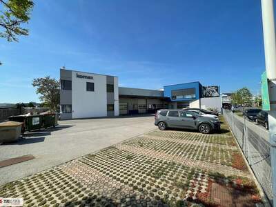 Gewerbeobjekt kaufen in 1230 Wien (Bild 3)