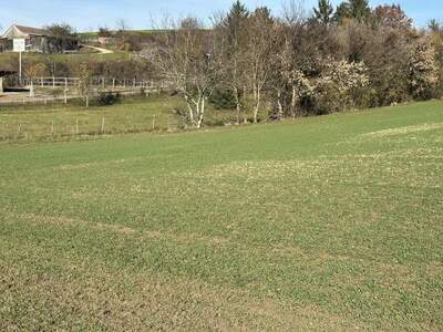 Grundstück kaufen in 3701 Großweikersdorf