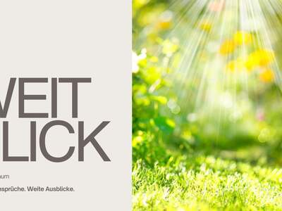 Haus kaufen in 4641 Steinhaus (Bild 5)