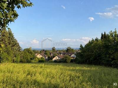 Anlageobjekt kaufen in 2722 Winzendorf