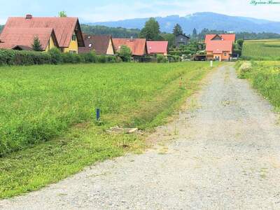 Grundstück kaufen in 8524 Bad Gams (Bild 3)