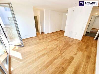 Wohnung kaufen in 1230 Wien (Bild 5)