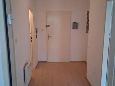 Apartment provisionsfrei mieten in 7431 Burgenland