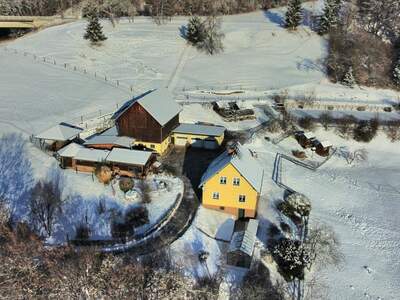 Gewerbeobjekt kaufen in 9433 Burgstall