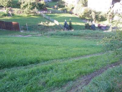 Gewerbeobjekt mieten in 4120 Neufelden (Bild 1)