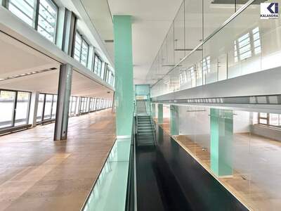 Gewerbeobjekt mieten in 1010 Wien