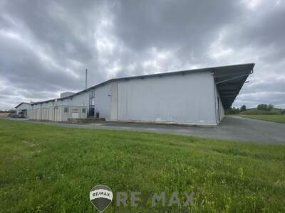 Gewerbeobjekt mieten in 7561 Heiligenkreuz (Bild 4)