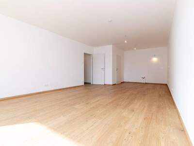 Terrassenwohnung mieten in 3250 Wieselburg (Bild 3)