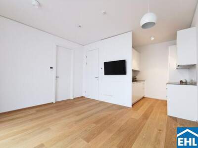 Terrassenwohnung mieten in 1030 Wien (Bild 3)