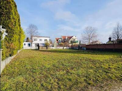 Grundstück provisionsfrei kaufen in 7121 Weiden