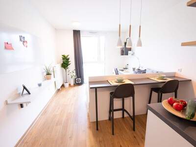 Mietwohnung in 1100 Wien (Bild 4)