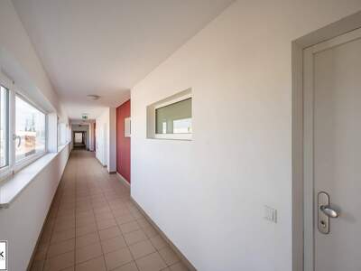 Wohnung mieten in 2700 Wiener Neustadt
