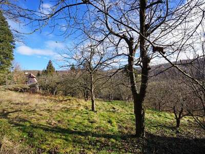 Grundstück kaufen in 3001 Mauerbach (Bild 1)