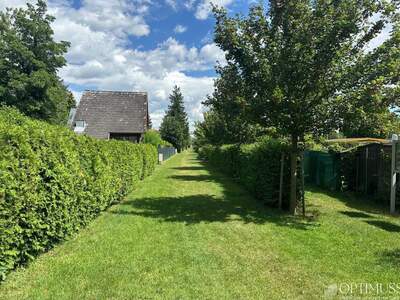 Haus mit Garten kaufen in 2491 Neufeld (Bild 5)